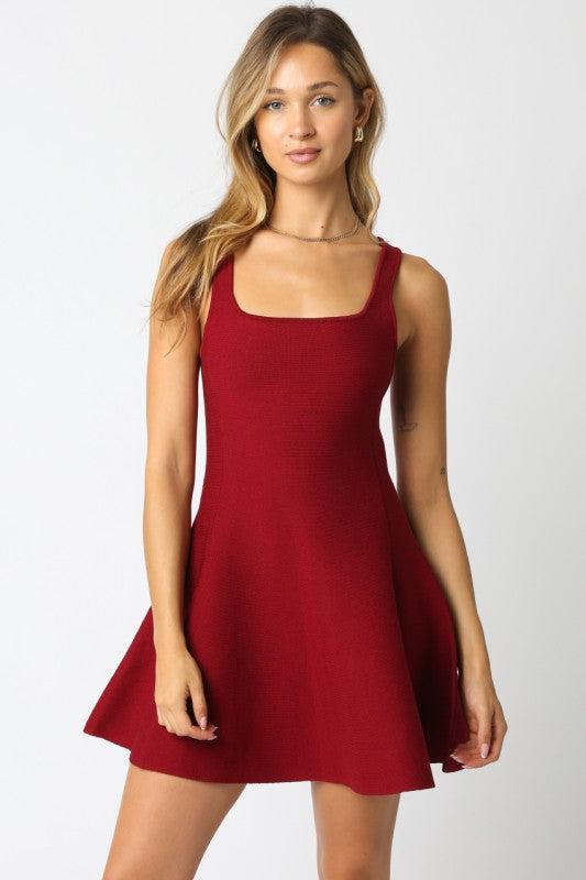 Eva Knit Mini Dress